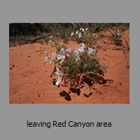 leaving Red Canyon area